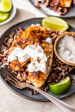 Blackened Fish with Key Lime Tartar