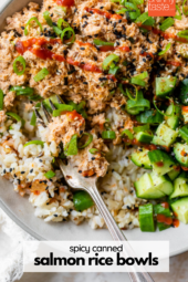 Spicy Canned Salmon Rice Lunch