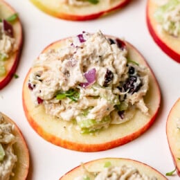 Cranberry Chicken Salad on Apple Slices 