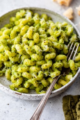 Pasta with Zucchini Sauce