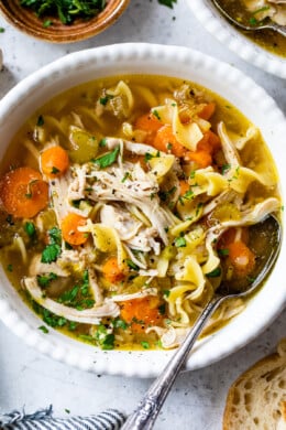 Instant Pot Chicken Noodle Soup